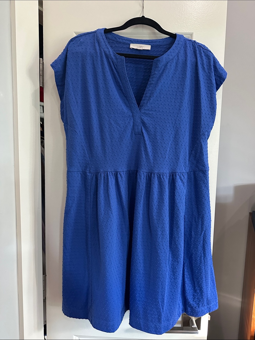 LOFT Cobalt Blue Textured Cap-Sleeve Fit & Flare Dress
